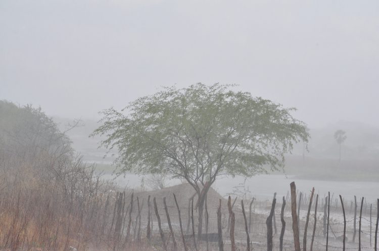 Chuva de 104 milímetros é registrada no Oeste do RN - Gláucia Lima