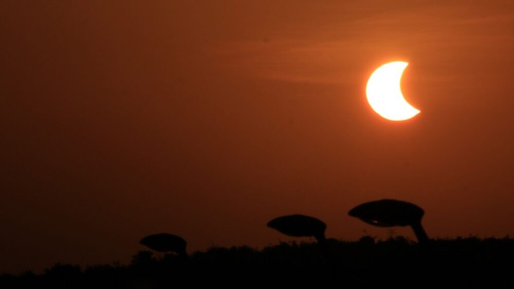 Entenda porque é perigoso ver o eclipse solar anular sem proteção